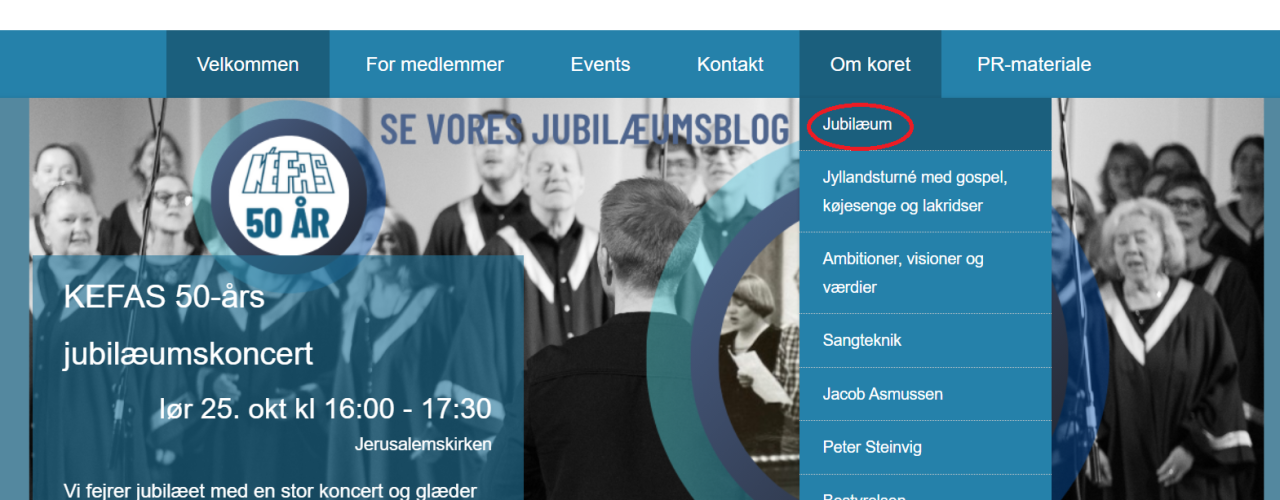 Blog på hjemmeside